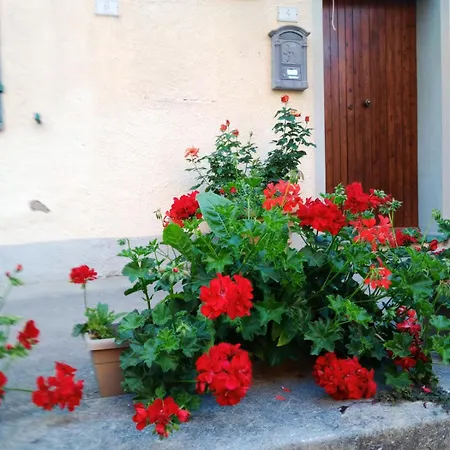 L'acquerello Casa Toscana 度假居 *